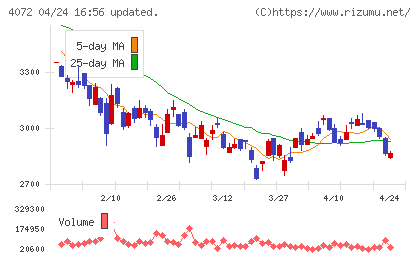 電算システムホールディングスチャート