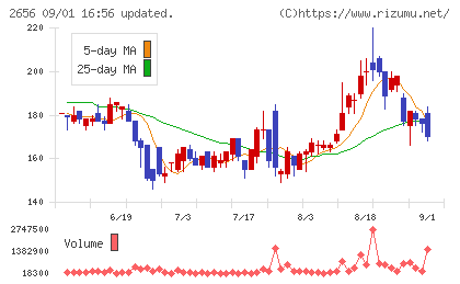 ベクターホールディングスチャート