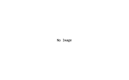 ソリストチャート