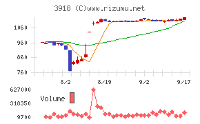 ＰＣＩホールディングス