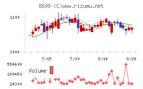 ＨＳホールディングス