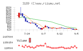 ANAPホールディングス