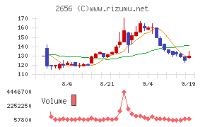 ベクターホールディングス