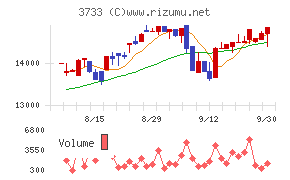 ソフトウェア・サービス