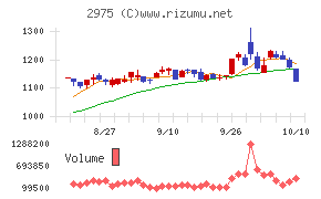 スター・マイカ・ホールディングス