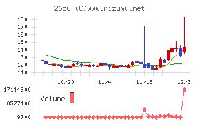 ベクターホールディングス