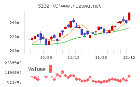 マクニカホールディングス