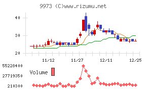 ＫＯＺＯホールディングス