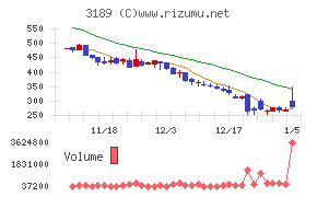 ＡＮＡＰホールディングス