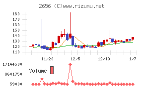 ベクターホールディングス