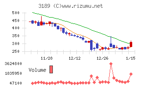 ＡＮＡＰホールディングス