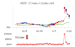 アジュバンホールディングス