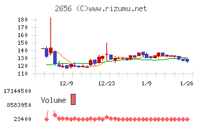 ベクターホールディングス