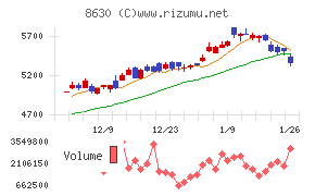 ＳＯＭＰＯホールディングス