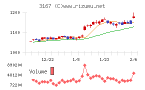 ＴＯＫＡＩホールディングス