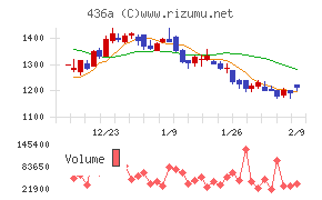 サイバーソリューションズ