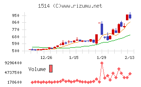 住石ホールディングス