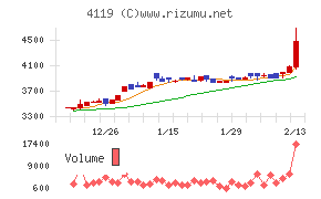 日本ピグメントホールディングス