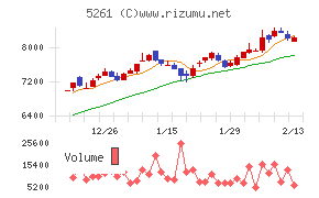 リソルホールディングス
