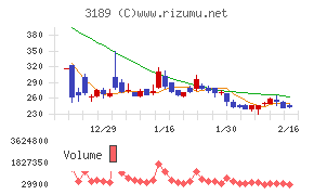 ANAPホールディングス