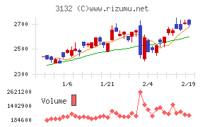 マクニカホールディングス