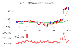 日本ペイントホールディングス