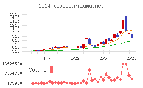 住石ホールディングス