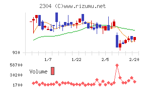 ＣＳＳホールディングス