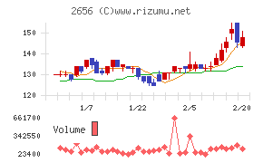 ベクターホールディングス