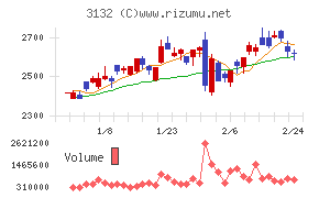 マクニカホールディングス