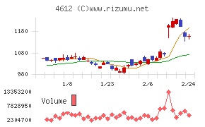 日本ペイントホールディングス
