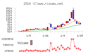 住石ホールディングス