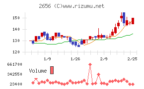 ベクターホールディングス