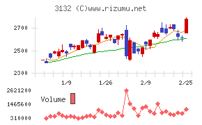 マクニカホールディングス