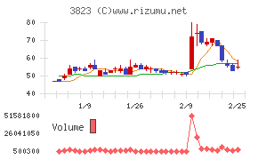 THE WHY HOW DO COMPANY