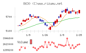 ＳＯＭＰＯホールディングス
