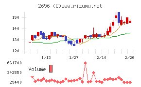 ベクターホールディングス