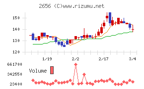 ベクターホールディングス