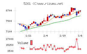 リソルホールディングス