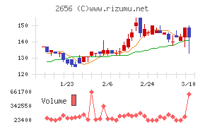 ベクターホールディングス
