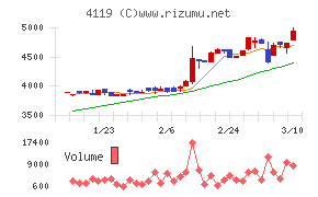 日本ピグメントホールディングス
