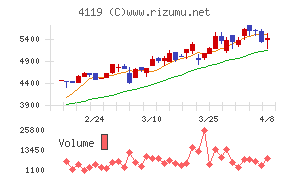日本ピグメントホールディングス