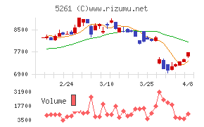 リソルホールディングス
