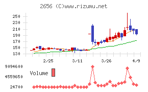 ベクターホールディングス