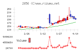 ベクターホールディングス