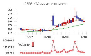 ベクターホールディングス