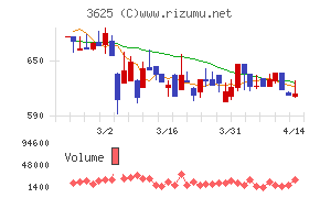 テックファームホールディングス