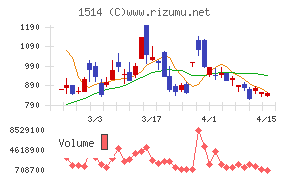 住石ホールディングス