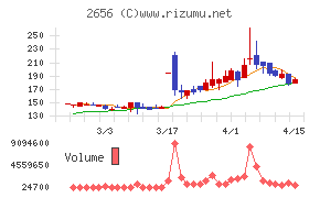 ベクターホールディングス