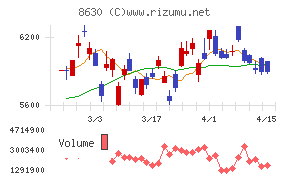 ＳＯＭＰＯホールディングス